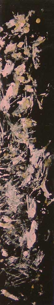 Floraison d'ames